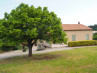  Villa Bonnieux